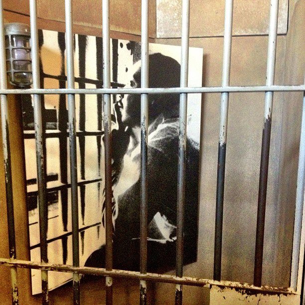 Dr. Martin Luther King, Jr. in jail